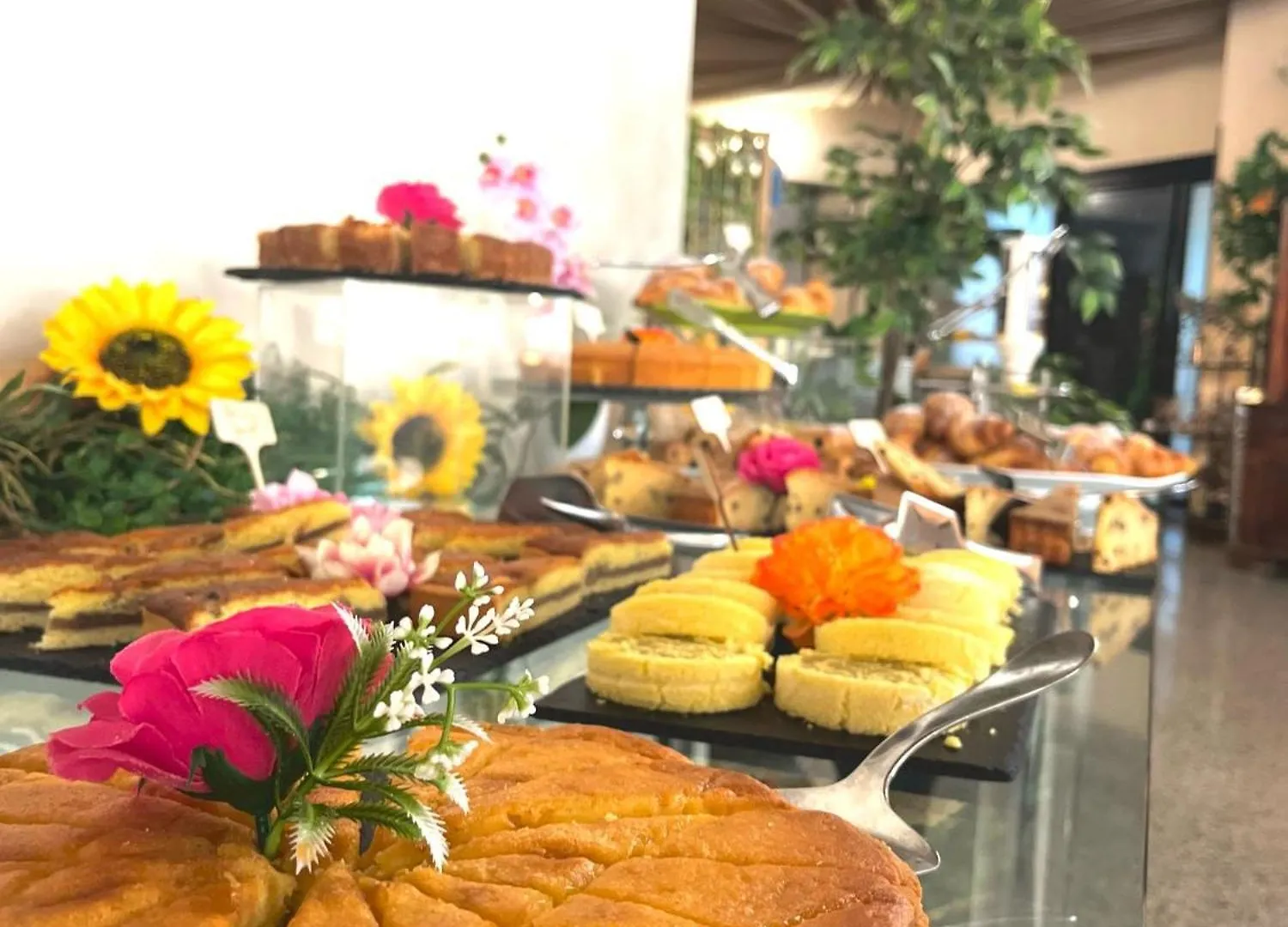Park Hotel Rimini